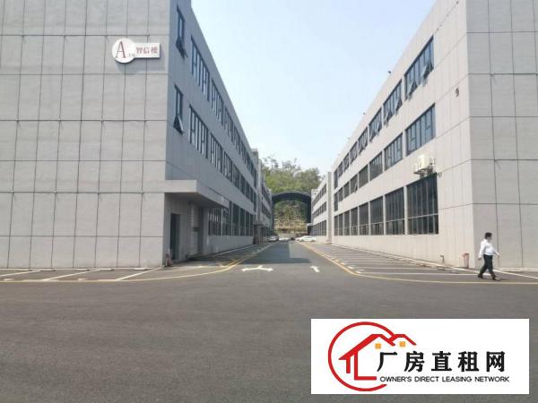 龙岗区横岗红本独栋高新科技园厂房出租独栋2900平