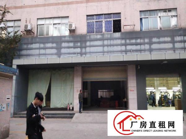  厂房出租一楼450平方龙岗区横岗六约可进大货柜空地大行业不限