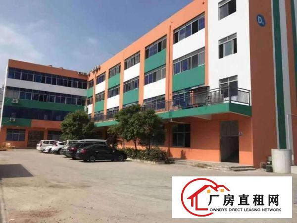  六约沃尔玛附近新出楼上344平带精装修红本厂房出租