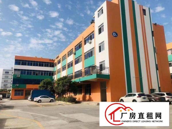  六约沃尔玛附近新出楼上344平带精装修红本厂房出租