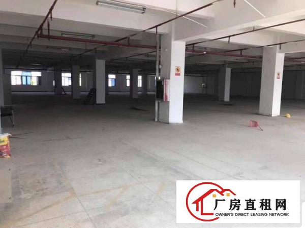  六约沃尔玛附近新出楼上344平带精装修红本厂房出租