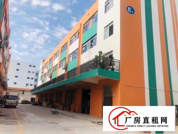  六约沃尔玛附近新出楼上344平带精装修红本厂房出租