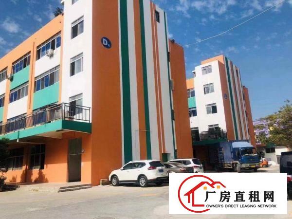  六约沃尔玛附近新出楼上344平带精装修红本厂房出租