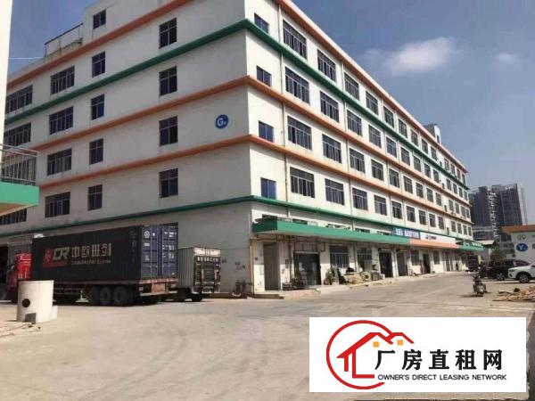  六约沃尔玛附近新出楼上344平带精装修红本厂房出租