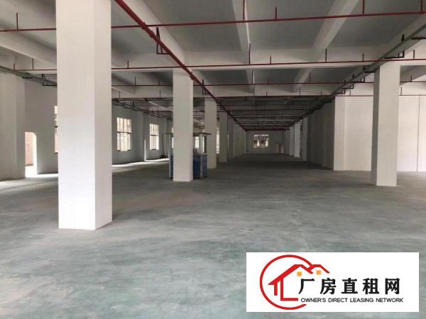  原房东！安良村新出960平厂房出租，空地大