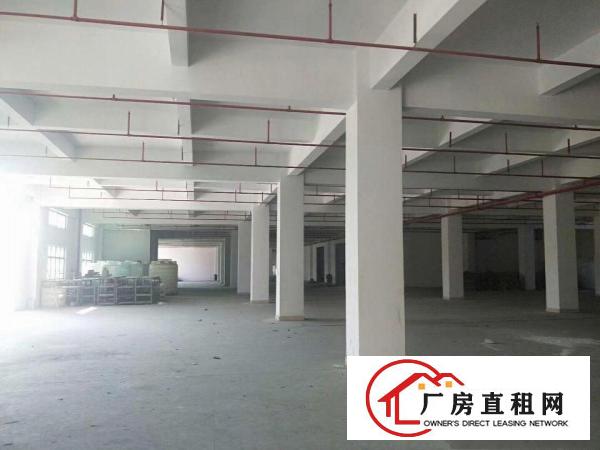  原房东！安良村新出960平厂房出租，空地大