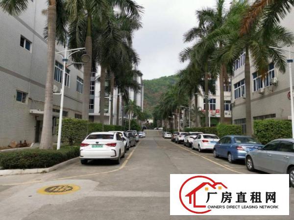  永湖地铁站旁红本花园式园区精装修厂房出租
