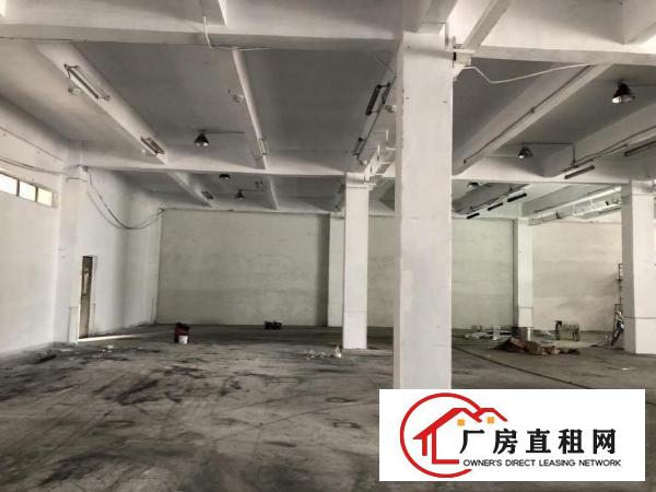  横岗新出一楼楼上300平500平，实业办公仓库加工