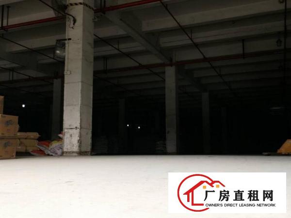  横岗精装修一楼1500平，便宜出租