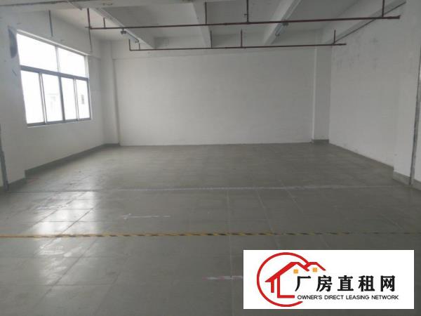  横岗六约原房东仓库出租单层2890平米可分租