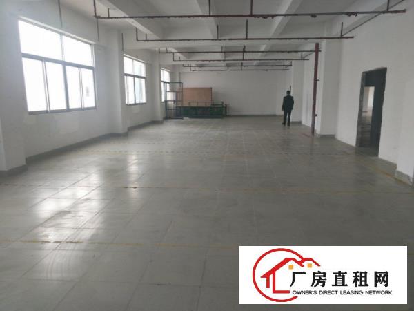  横岗六约原房东仓库出租单层2890平米可分租