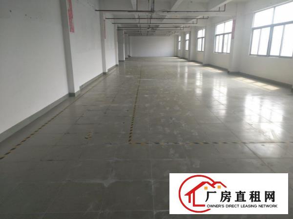  横岗六约原房东仓库出租单层2890平米可分租