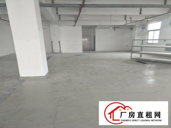  横岗六约原房东仓库出租单层2890平米可分租