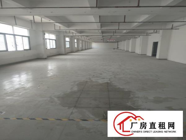  横岗六约原房东仓库出租单层2890平米可分租