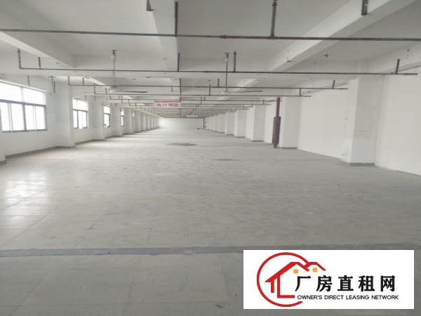  横岗六约原房东仓库出租单层2890平米可分租