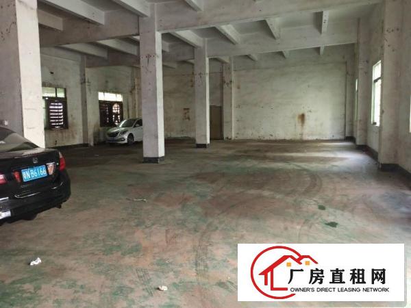  厂房出租龙岗横岗六约1100平一楼整层空地超大带精装修