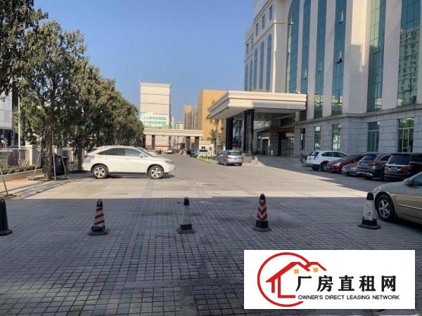 六约圣德堡酒店旁写字楼出租100平到300平方