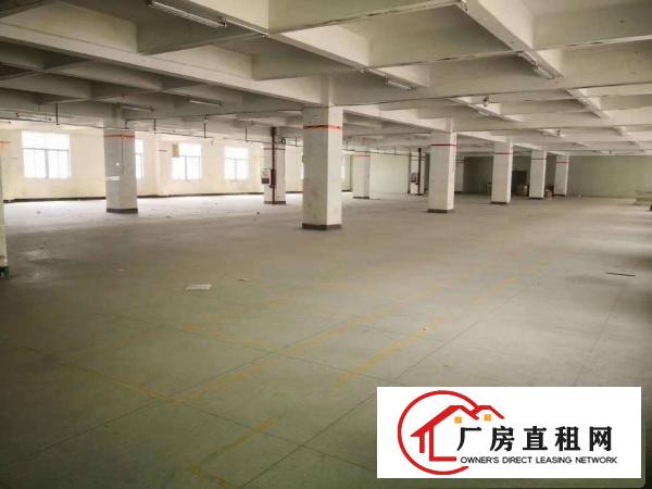  横岗六约独院厂房便宜出租，4800平水电齐全