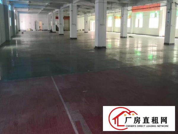  横岗六约独院厂房便宜出租，4800平水电齐全