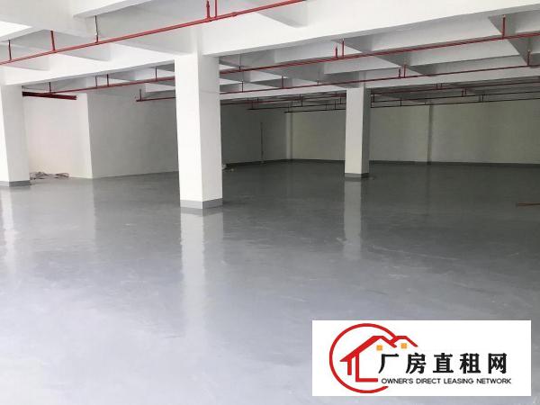  横岗六约社区大型园区新出200平厂房仓库出租，方正好用