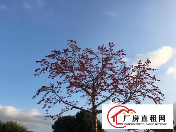  HG全新小型仓储写字楼出租
