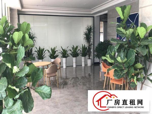  HG全新小型仓储写字楼出租