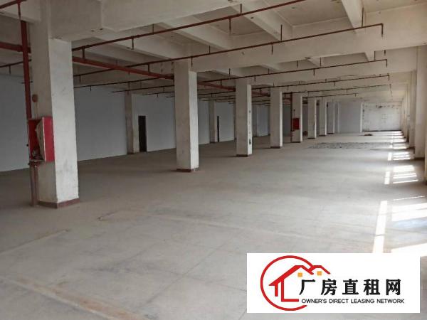  厂房出租龙岗横岗六约535平方楼上空地超大可进大货车形象好
