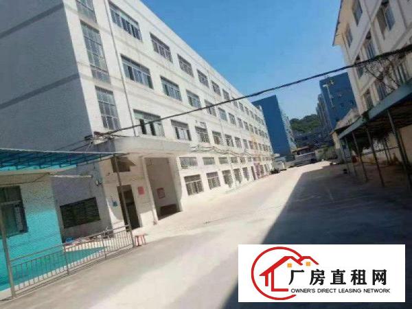 （出租）228独立园区独栋一楼700平可分割有红本