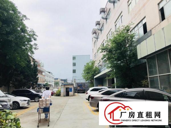  精装修！安良沙荷路边二楼1650平原房东厂房出租