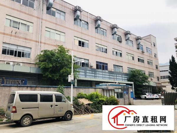  精装修！安良沙荷路边二楼1650平原房东厂房出租