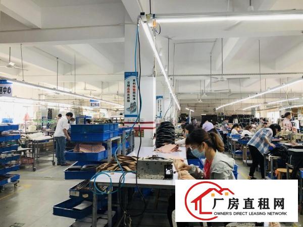  精装修！安良沙荷路边二楼1650平原房东厂房出租