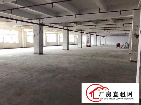  横岗六约沃尔玛附近新出楼上728平适合做电商仓库场地出租