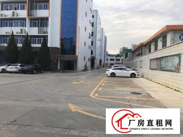  横岗六约沃尔玛附近新出楼上728平适合做电商仓库场地出租