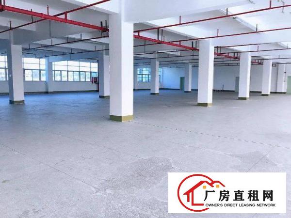  六约社区新出独栋6600平厂房出租，大小可分租