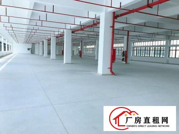  六约社区新出独栋6600平厂房出租，大小可分租