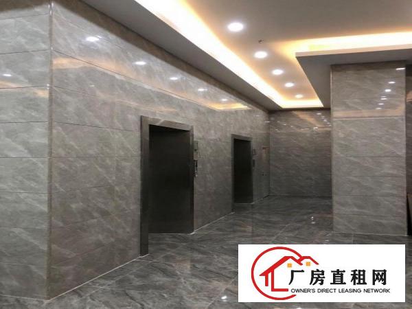  六约塘坑地铁站电商产业园100平200平300平500平招租