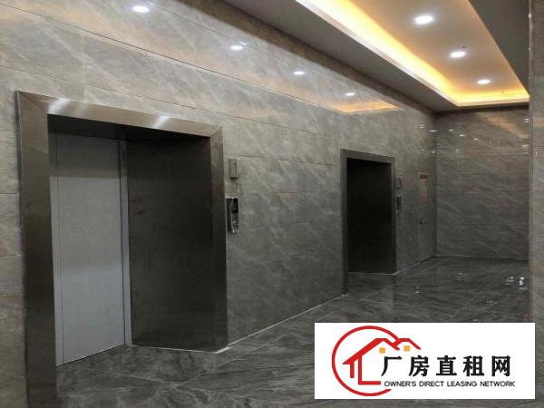  六约塘坑地铁站电商产业园100平200平300平500平招租