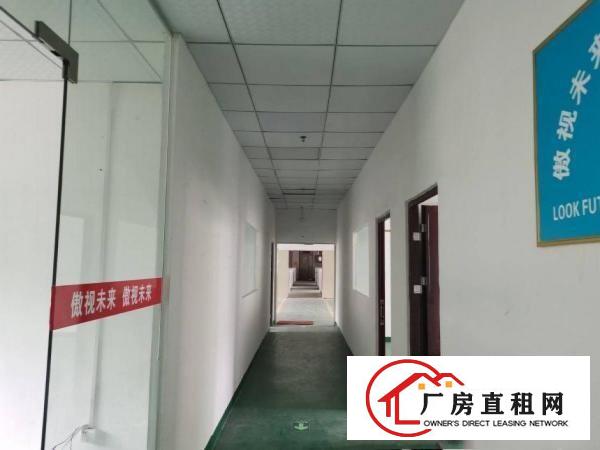  横岗大康沙荷路旁二楼三楼各780平，现成眼镜厂装修空地大