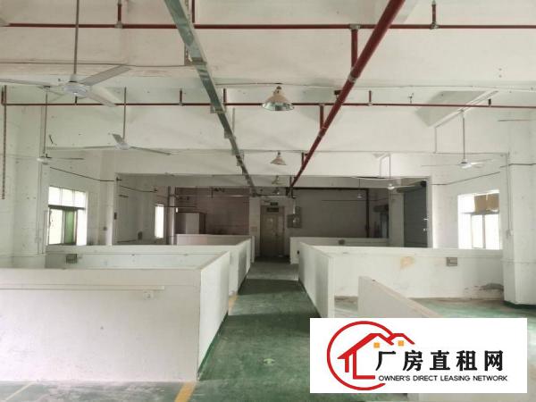  横岗大康沙荷路旁二楼三楼各780平，现成眼镜厂装修空地大