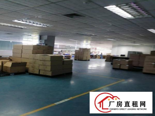  横岗荷坳地铁站新出1800平方带装修厂房