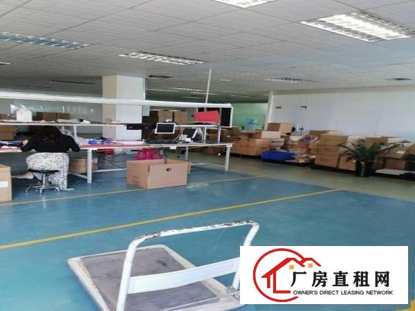  横岗荷坳地铁站新出1800平方带装修厂房