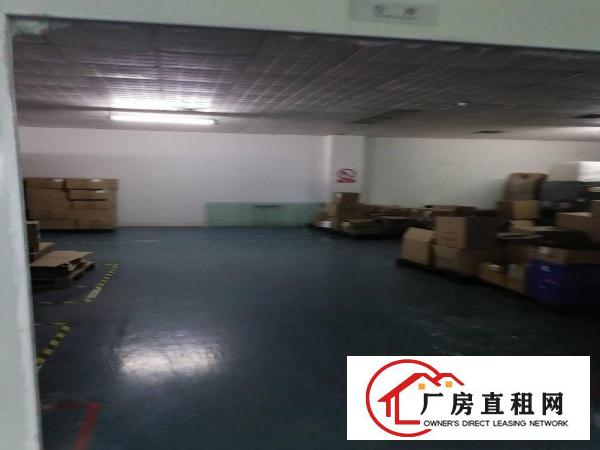 横岗荷坳地铁站新出1800平方带装修厂房