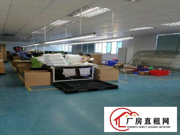  横岗荷坳地铁站新出1800平方带装修厂房