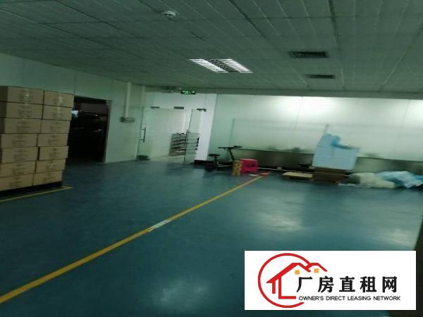  横岗荷坳地铁站新出1800平方带装修厂房