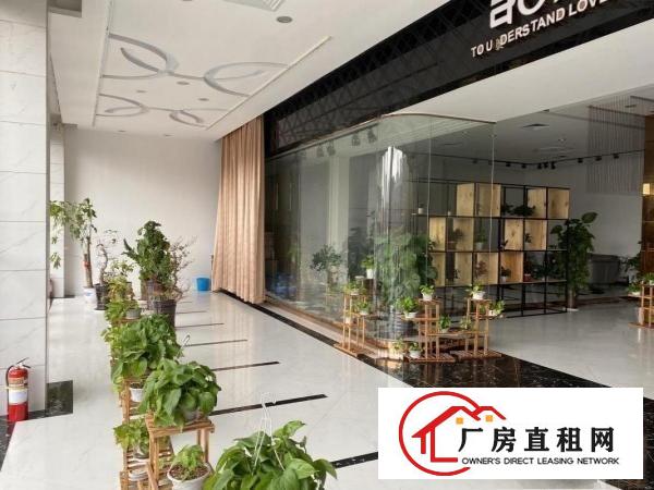  横岗塘坑地铁站边500米新出一楼现成装修展厅办公室400平