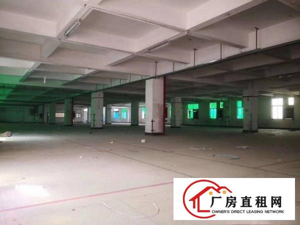  横岗安良新出标准厂房3楼1600平，原房东厂房，低价出租