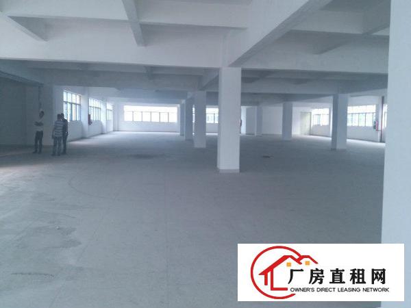  横岗水管高速路口一栋9300平米花园式厂房，可分租