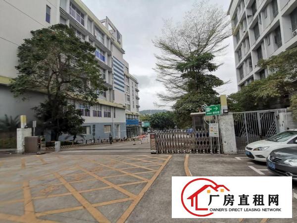  横岗高新产业园原房东2400平，房产证面积出租