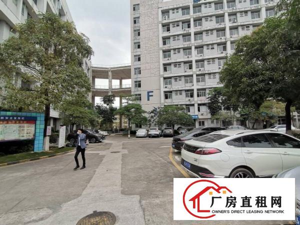  横岗高新产业园原房东2400平，房产证面积出租