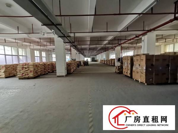  横岗高新产业园原房东2400平，房产证面积出租